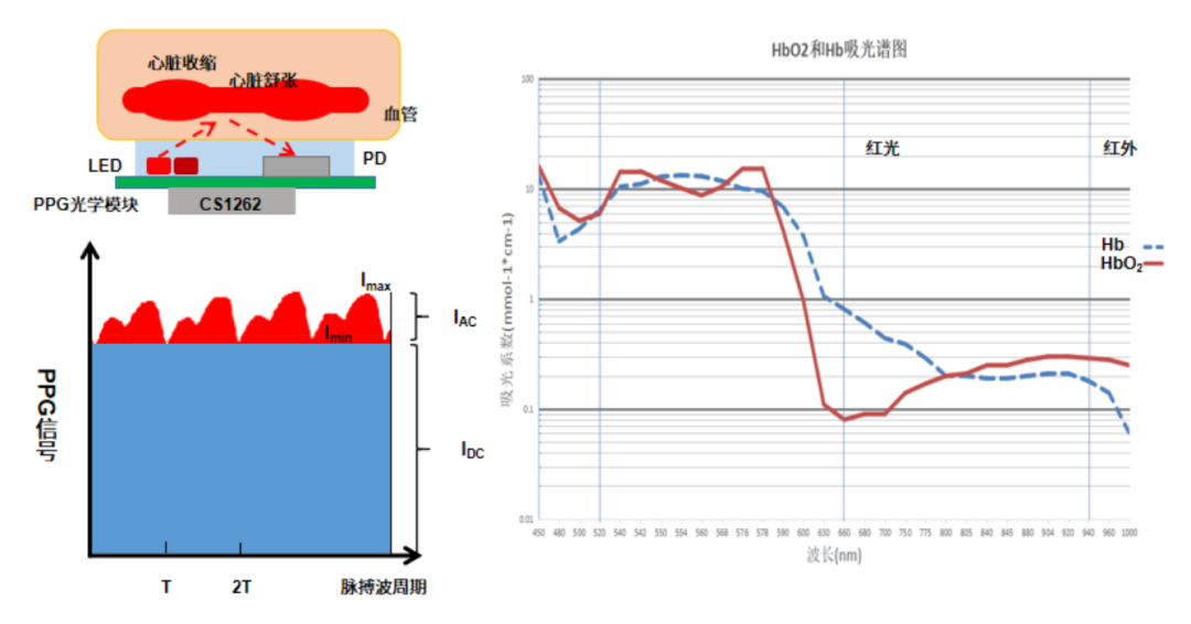 芯海科技CS1262的高性能低功耗穿戴式血氧方案应用 - 脉脉