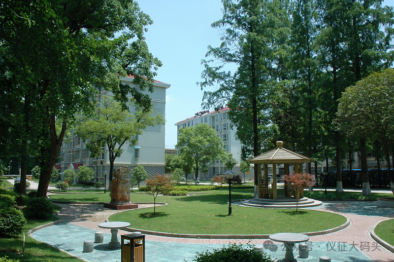 @化纤居民：“建盛”与“建泰”，你能分得清吗？_公司_生活区_仪化