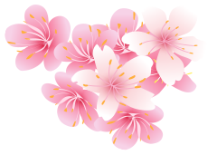 樱花2.png