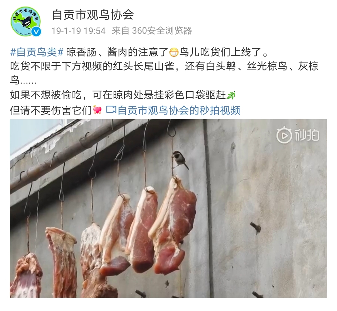四川人心里的美食顶流竟然不是火锅!-微信头条网 四川人心里的美食顶流竟然不是火锅!