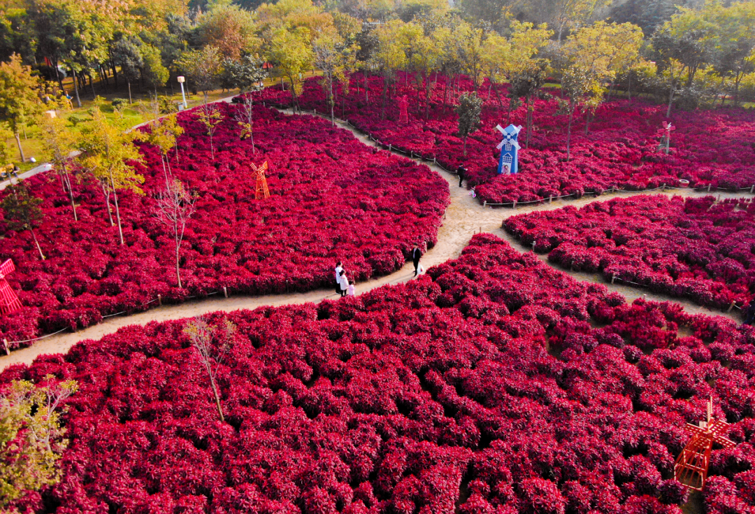 郑州绿博园成功入围第二批国家级文明旅游示范单位！