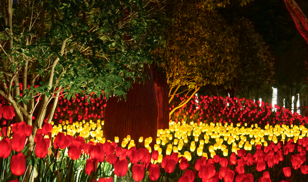 纷呈好戏，“龍”重登场！郑州绿博园新春文化节邀您快乐过“龘”年！