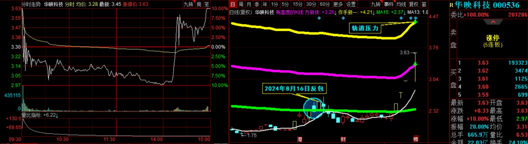 2024年09月18日 金信诺股票