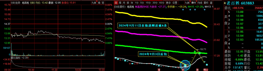 2024年09月18日 金信诺股票