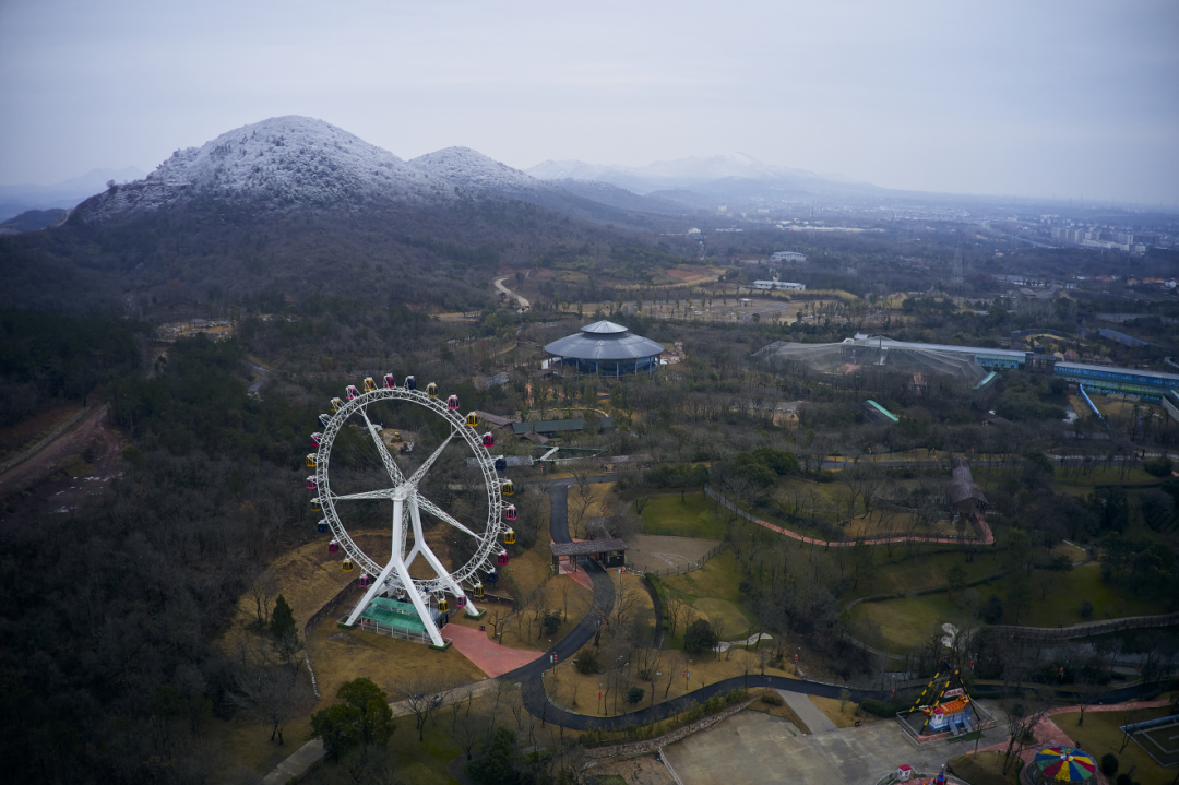 DJI_0466.png