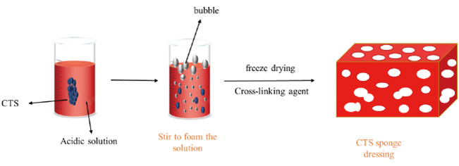 壳聚糖护理敷料是什么编辑推荐︱基于壳聚糖的新型敷料及其应用_https://www.jmylbn.com_新闻资讯_第6张