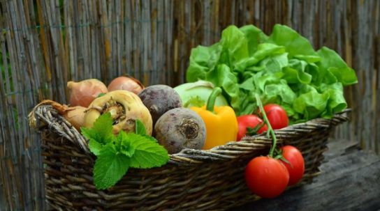 盛硒源：老年性痴呆唯有硒能预防