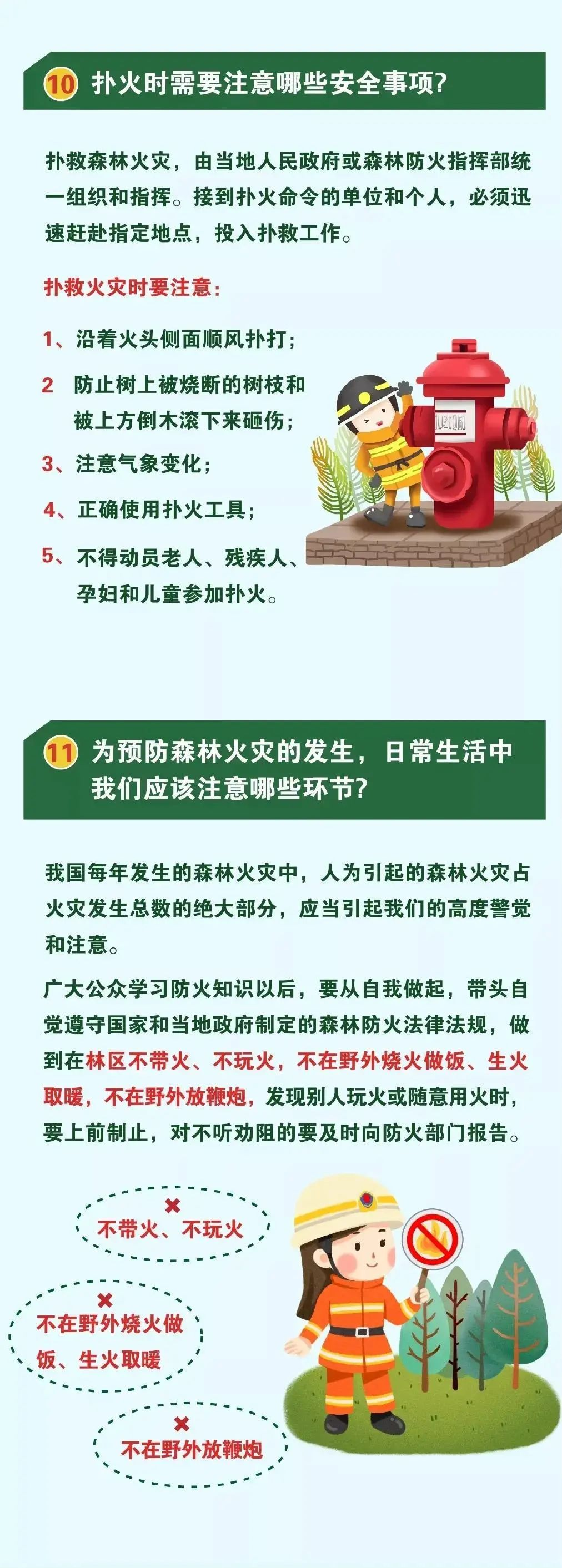 一图读懂森林防火小知识