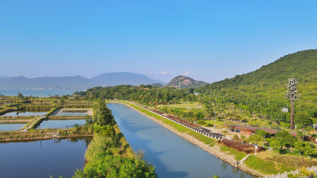 公園裡的大鵬山海間的牧歌