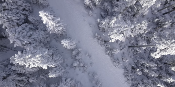 一到冬天就吃瘪，-25℃下电车还能动得了吗？的图5