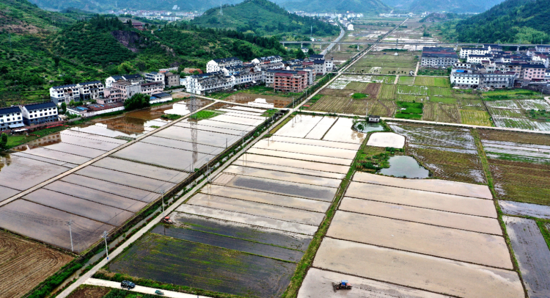 浙江狂撒2億元旅遊紅包，今天開始每天中午12點記得準時搶 旅遊 第18張