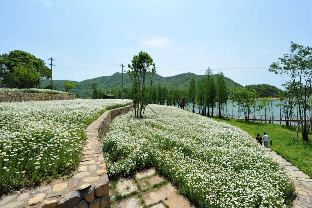 浙江狂撒2億元旅遊紅包，今天開始每天中午12點記得準時搶 旅遊 第21張