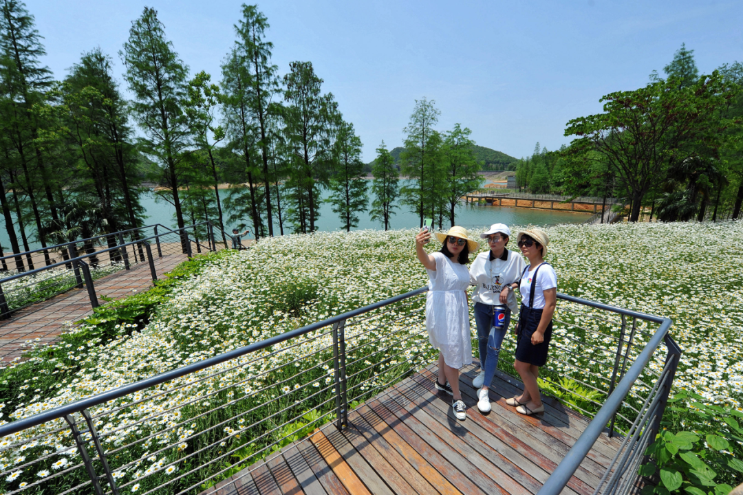 浙江狂撒2億元旅遊紅包，今天開始每天中午12點記得準時搶 旅遊 第19張