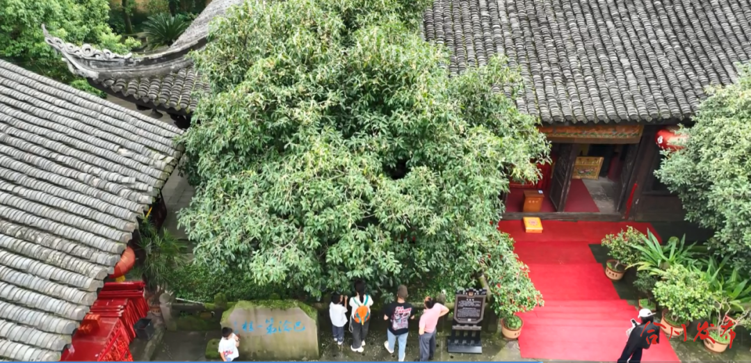 GetAttachment (1).png