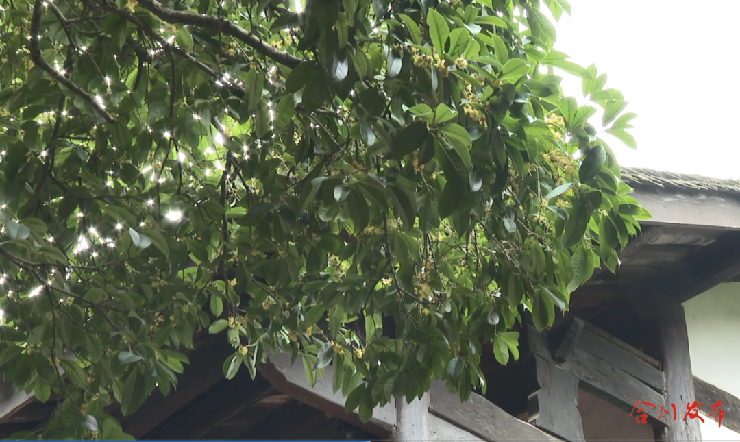 GetAttachment (2).png