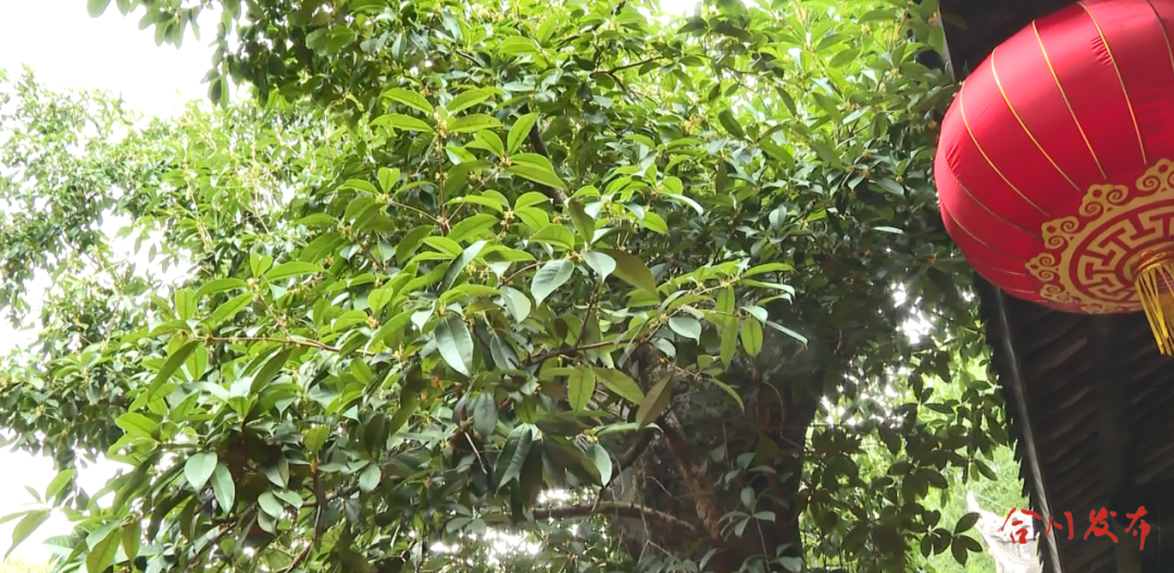 GetAttachment (5).png