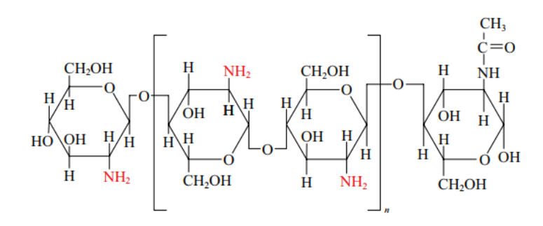 壳聚糖类材料有哪些原料 ｜ 壳聚糖及其衍生物的生物学性能及其在医学领域的应用_https://www.jmylbn.com_新闻资讯_第1张