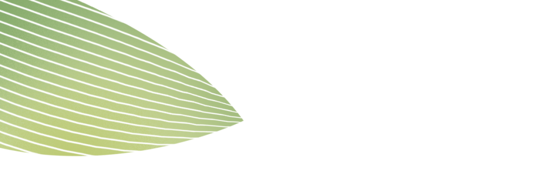 端午浓情 心系员工：海思坦为家人们发放端午节福利