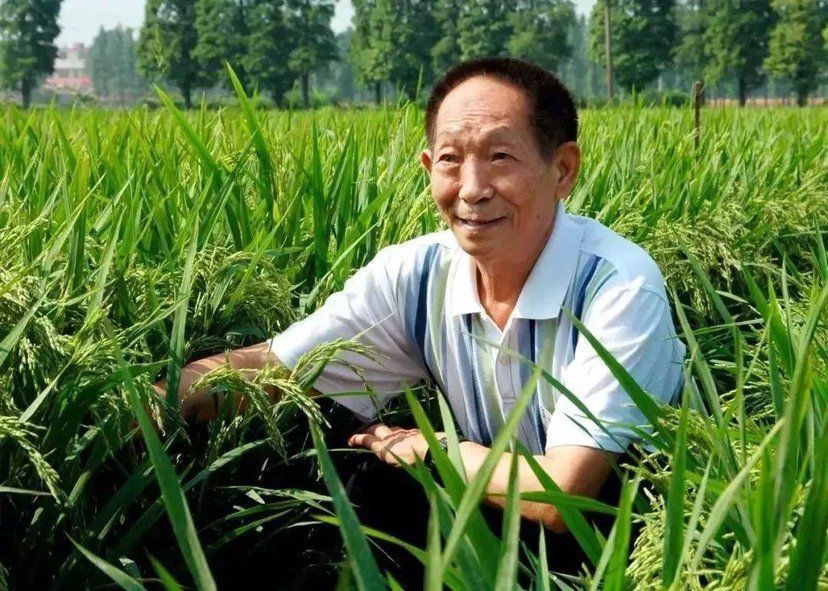 lol荣誉系统勋章带_荣誉勋章_lol荣誉系统勋章带查询