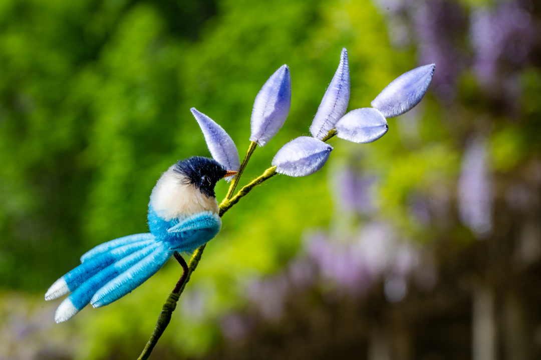 成都保利紫藤花语公园_紫藤花寓意及花语_彼岸花花语和寓意