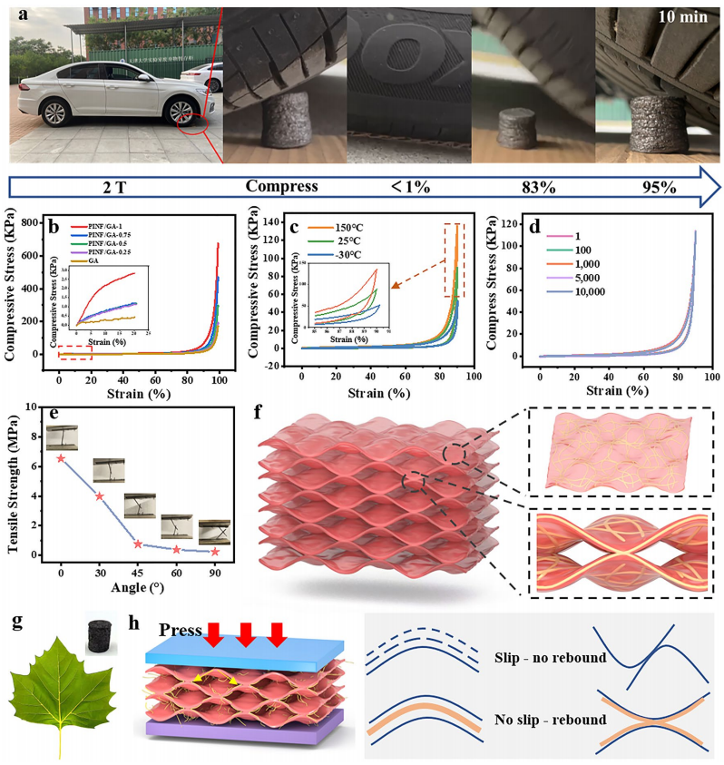 聚酰亚胺纤维/石墨烯气凝胶：原位缩合节点“焊接”，超弹形变力热可调的图4