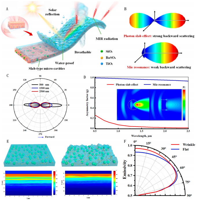 受人体皮肤启发的辐射制冷织物的图4