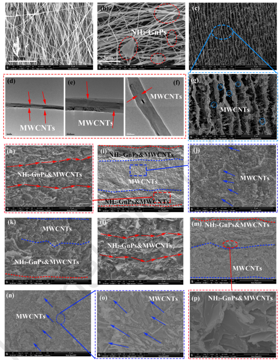 研究 \\ 一种具有优异电磁屏蔽和导热性能的PEEK复合材料的图6