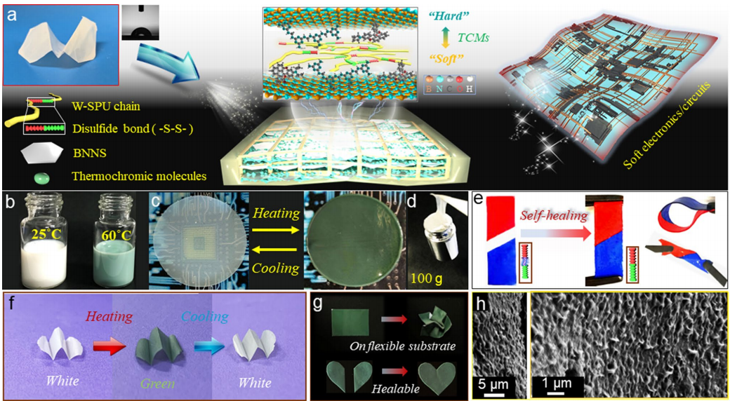 一种用于电子器件智能热管理的高导热纳米复合材料的图3