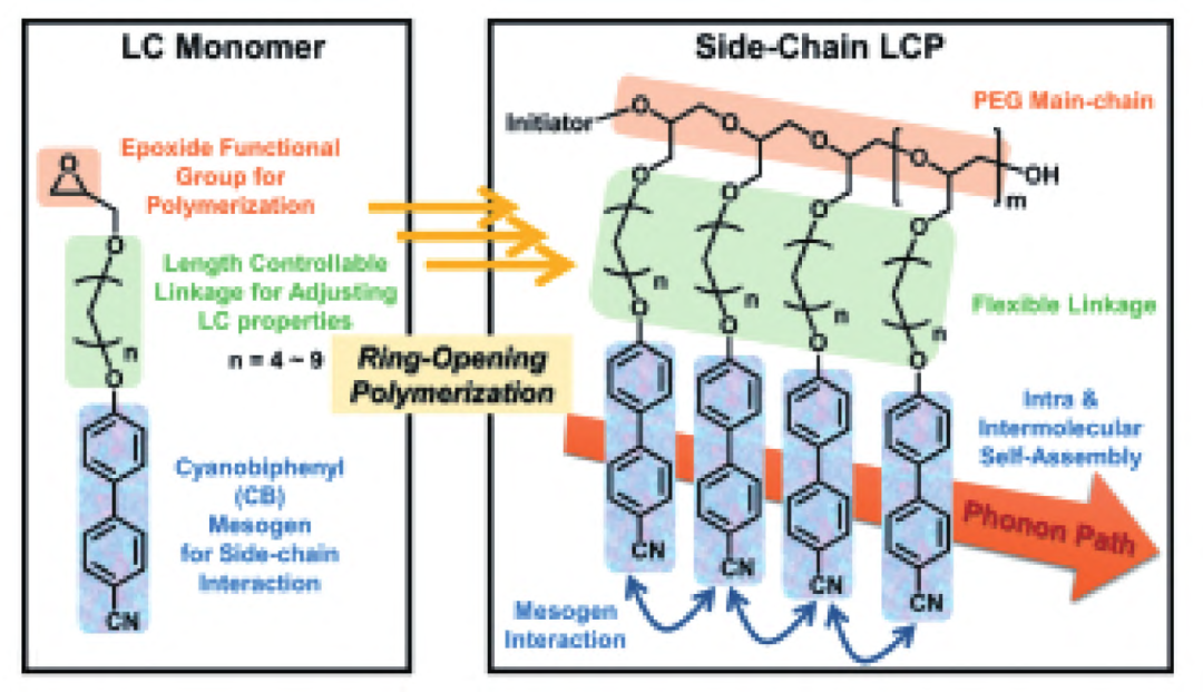 本征导热聚合物研究：机理、结构与性能及应用的图13