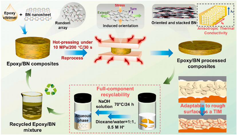 具有高导热性和界面适应性的可回收BN/环氧热界面材料的图2