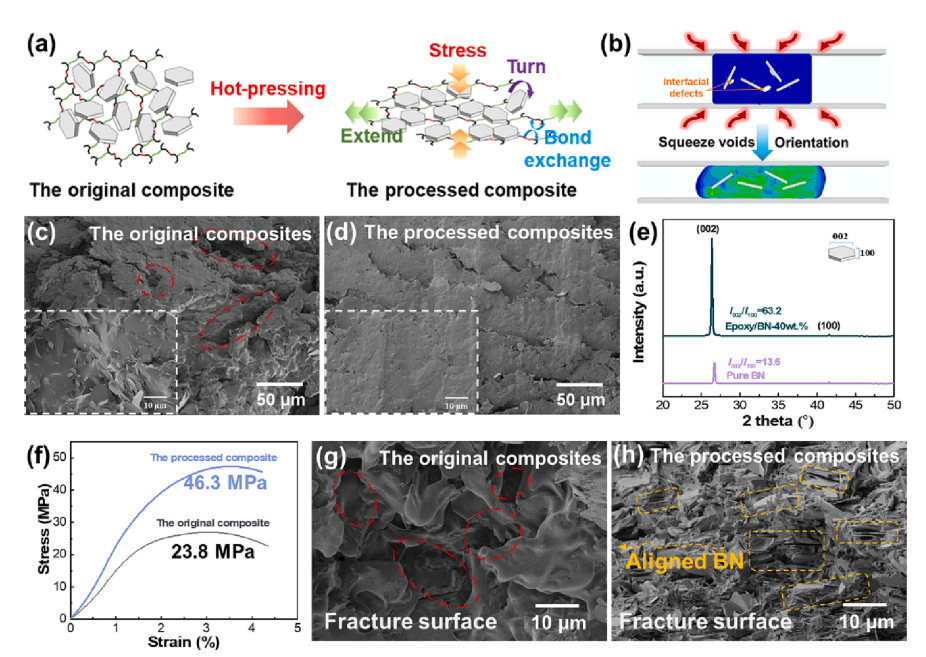 具有高导热性和界面适应性的可回收BN/环氧热界面材料的图4