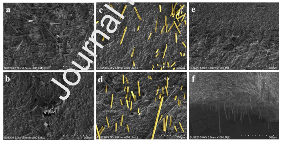 一种用于芯片散热的复合相变热界面材料的图13