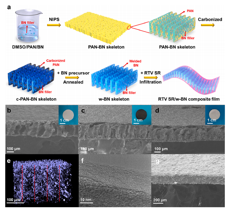一种新型高导热系数的BN/硅橡胶复合薄膜材料的图3