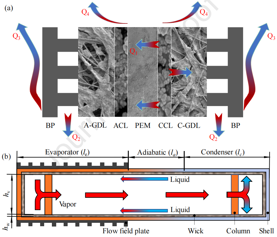 新型被动冷却方案：用于质子交换膜燃料电池堆的均热板的图3