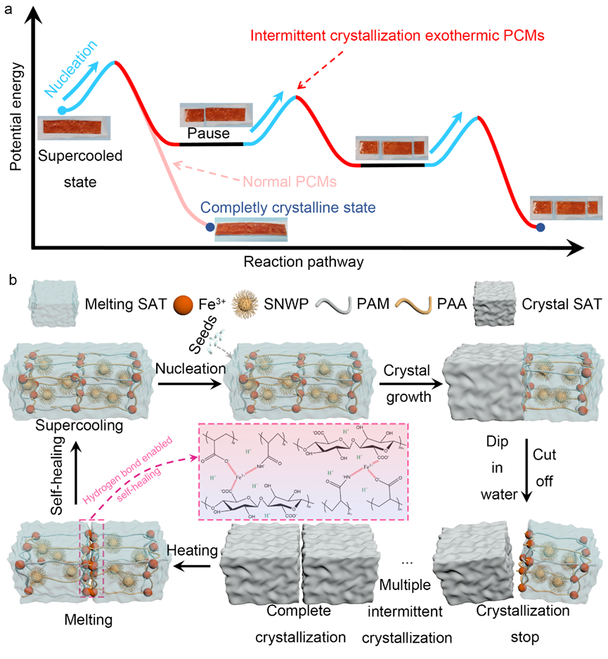 一种间歇放热相变材料，可用于地板辐射采暖系统的热管理的图3
