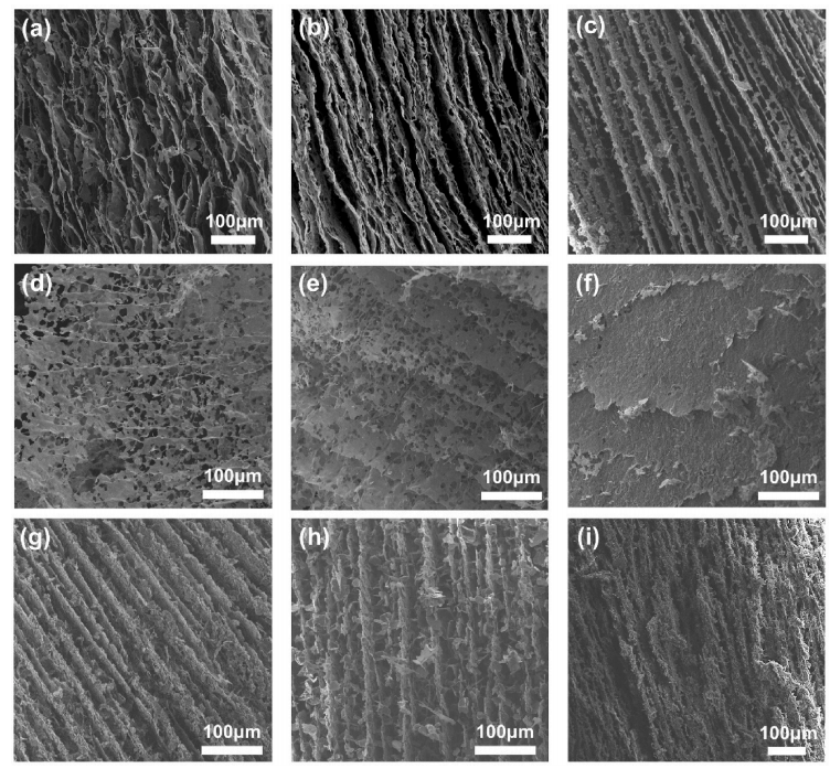 一种定向排列的三维氮化硼聚合物复合热界面材料的图4