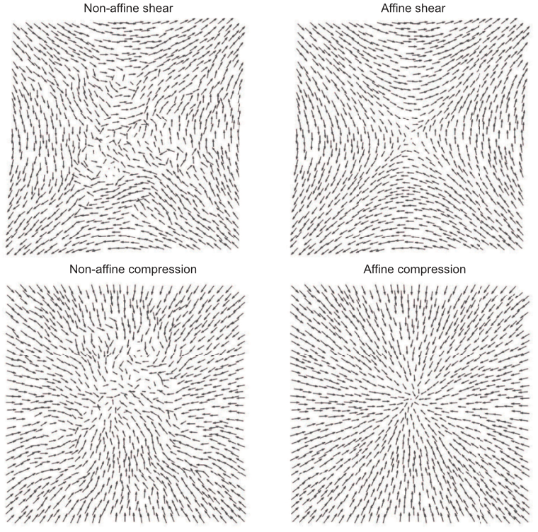 非仿射性：非晶平面图网络中的涌现现象的图3