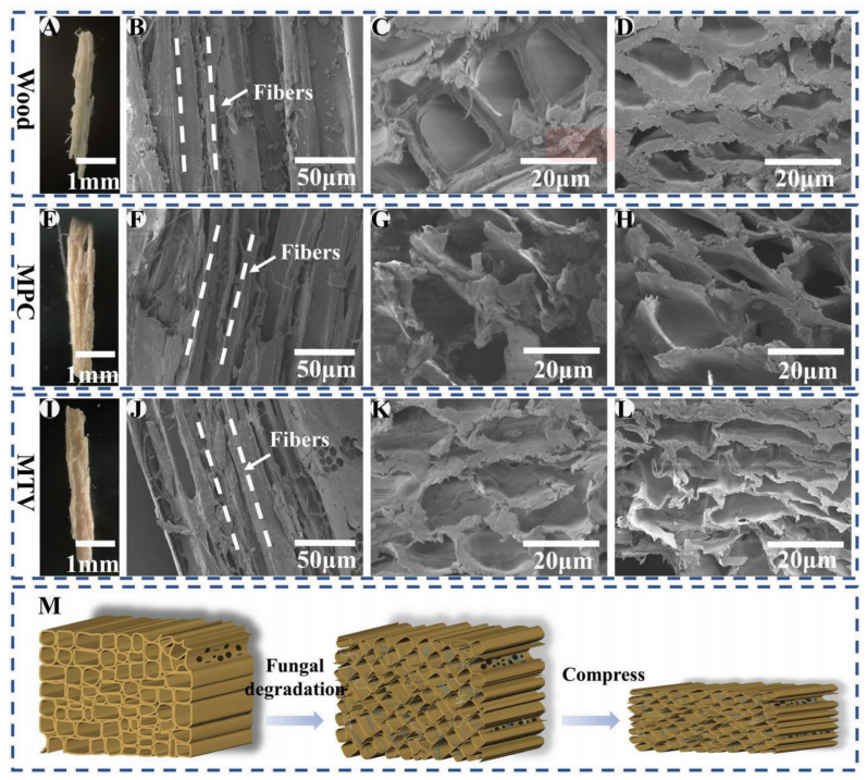 一种具有疏水性、可修复和可回收的多功能隔热复合材料的图5