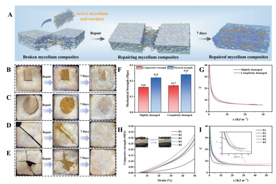 一种具有疏水性、可修复和可回收的多功能隔热复合材料的图9