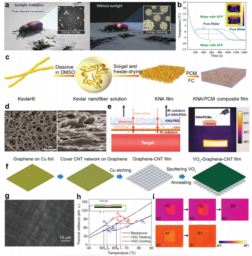 大自然是PCM结构设计、行为和理论的源泉之一的图15