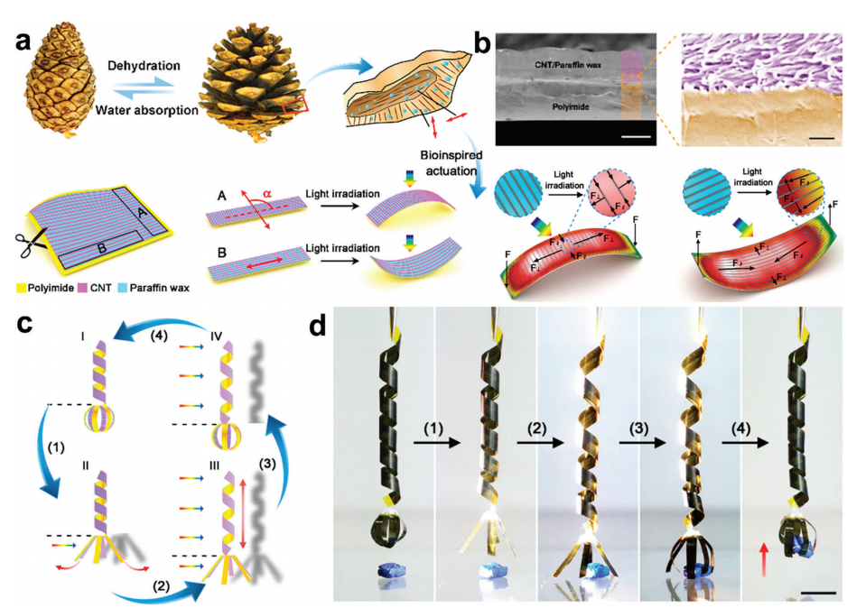 大自然是PCM结构设计、行为和理论的源泉之一的图12