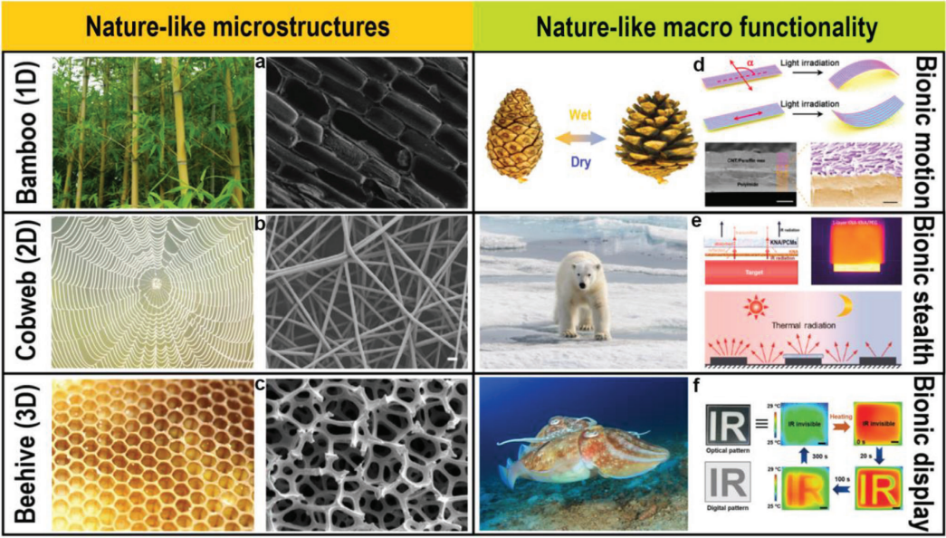 大自然是PCM结构设计、行为和理论的源泉之一的图4