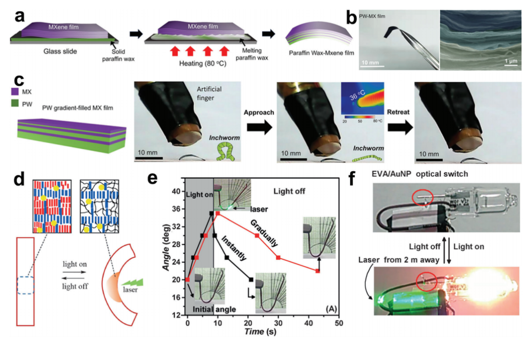 大自然是PCM结构设计、行为和理论的源泉之一的图13