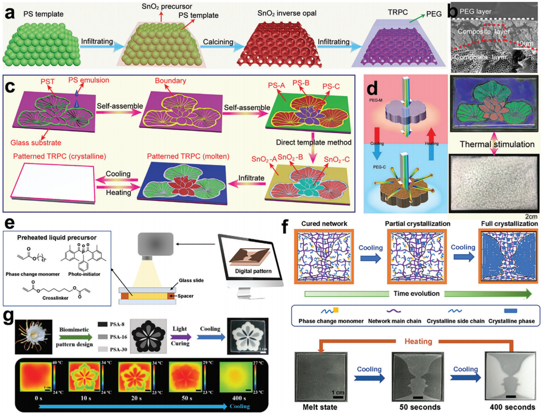 大自然是PCM结构设计、行为和理论的源泉之一的图14