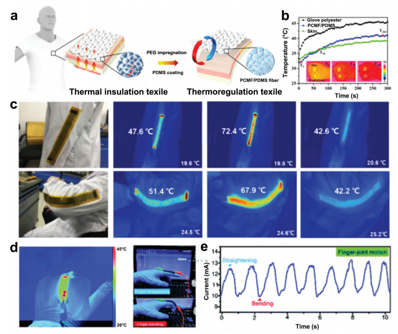 大自然是PCM结构设计、行为和理论的源泉之一的图19