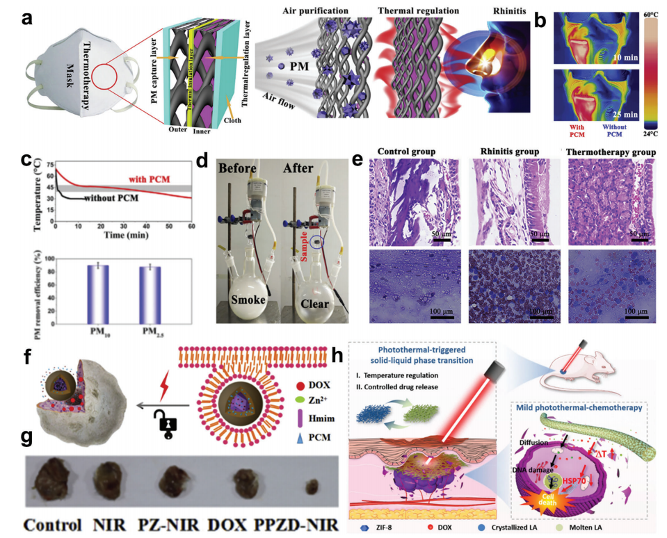 大自然是PCM结构设计、行为和理论的源泉之一的图18