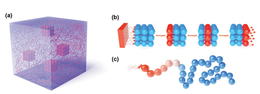 导热聚合物材料的发展趋势：关键因素、进展与展望的图4