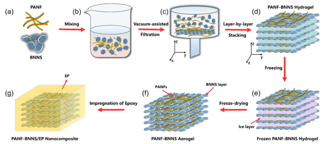 自堆叠三维各向异性的PANF- BNNS/EP高导热纳米复合材料的图3