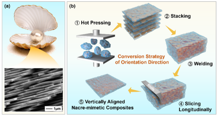 研究 \\ 氮化硼高度垂直排列取向的橡胶基高性能导热复合材料的图3