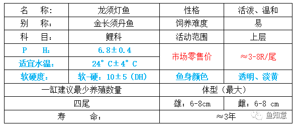 龙须灯鱼和银针鱼_龙须灯是冷水鱼吗_龙须灯鱼怎么分公母